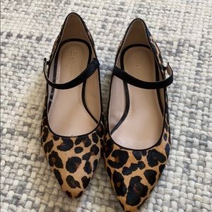 Leopard Flats